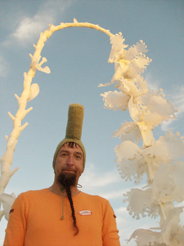 spores